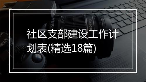 社区支部建设工作计划表(精选18篇)