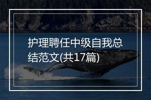 护理聘任中级自我总结范文(共17篇)
