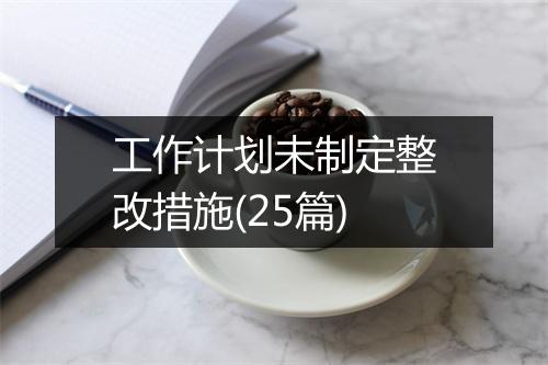 工作计划未制定整改措施(25篇)