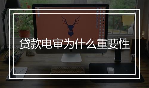 贷款电审为什么重要性