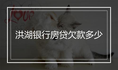 洪湖银行房贷欠款多少
