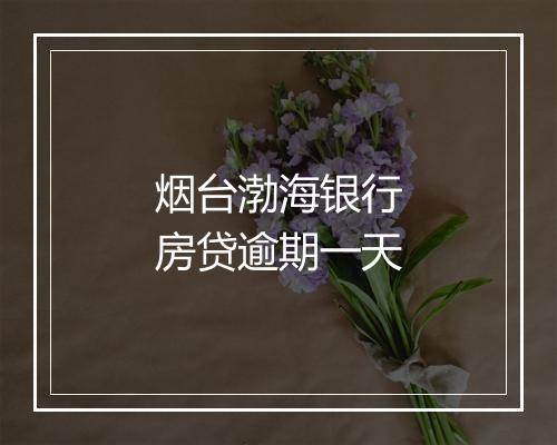 烟台渤海银行房贷逾期一天