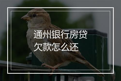 通州银行房贷欠款怎么还