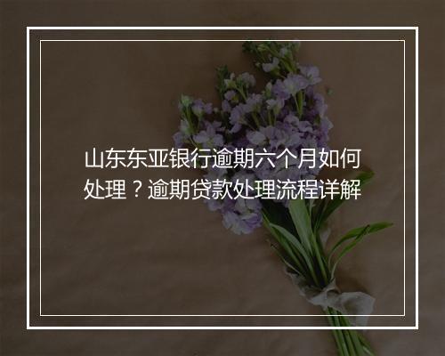 山东东亚银行逾期六个月如何处理？逾期贷款处理流程详解