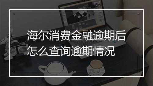 海尔消费金融逾期后怎么查询逾期情况