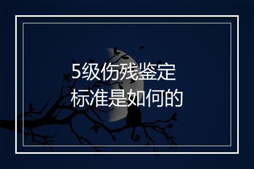 5级伤残鉴定标准是如何的