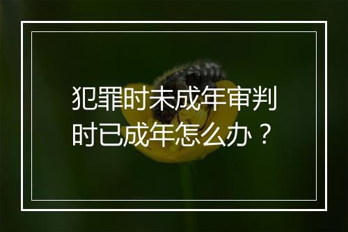 犯罪时未成年审判时已成年怎么办？
