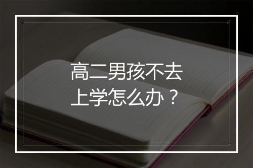 高二男孩不去上学怎么办？