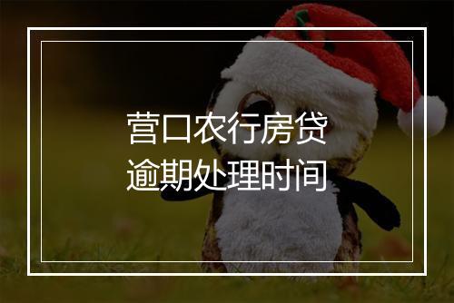 营口农行房贷逾期处理时间