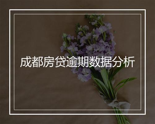 成都房贷逾期数据分析