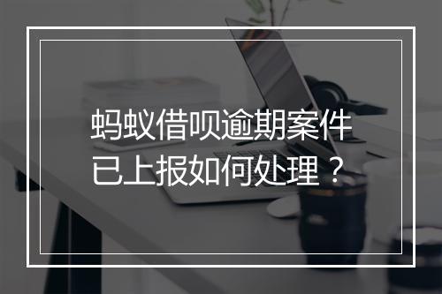 蚂蚁借呗逾期案件已上报如何处理？