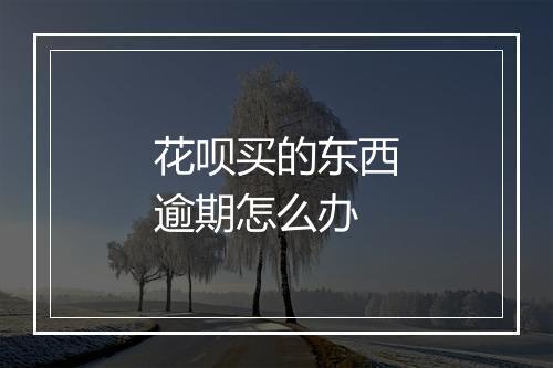 花呗买的东西逾期怎么办