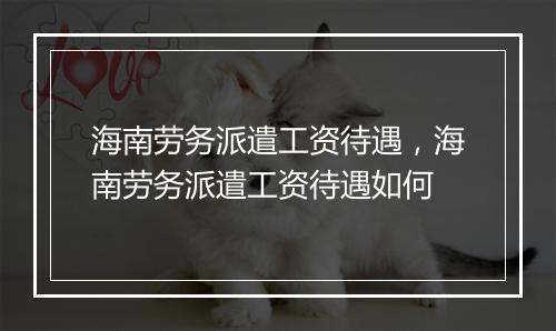 海南劳务派遣工资待遇，海南劳务派遣工资待遇如何