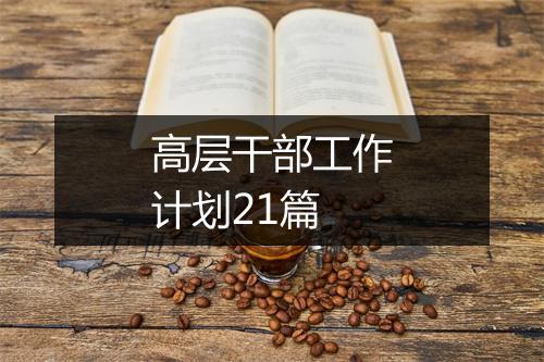 高层干部工作计划21篇