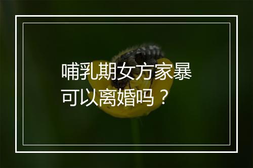 哺乳期女方家暴可以离婚吗？