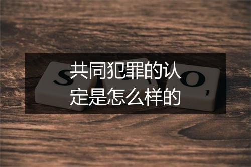 共同犯罪的认定是怎么样的