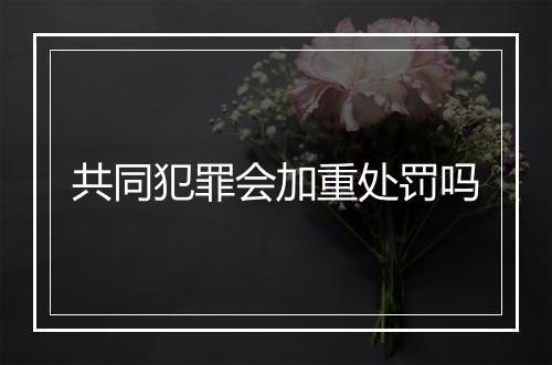 共同犯罪会加重处罚吗