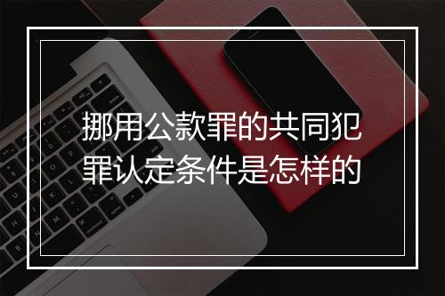 挪用公款罪的共同犯罪认定条件是怎样的