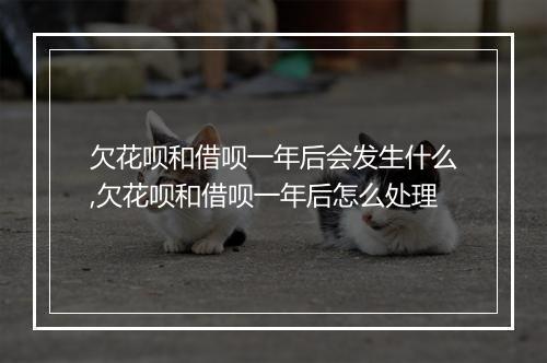 欠花呗和借呗一年后会发生什么,欠花呗和借呗一年后怎么处理