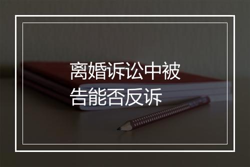 离婚诉讼中被告能否反诉