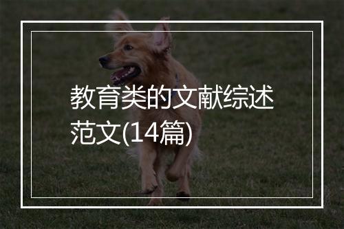 教育类的文献综述范文(14篇)