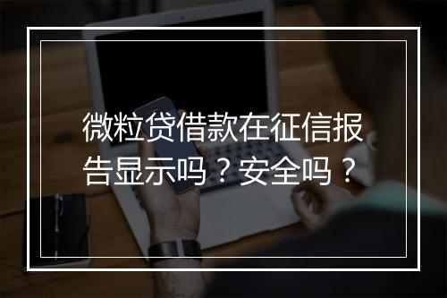 微粒贷借款在征信报告显示吗？安全吗？