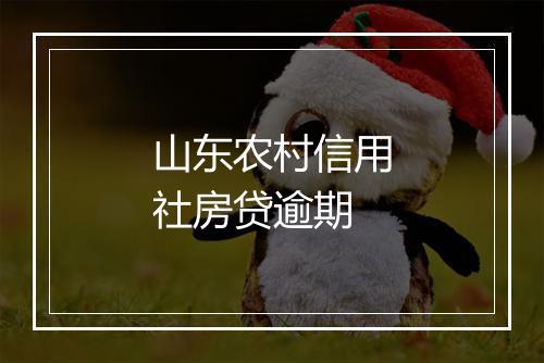 山东农村信用社房贷逾期