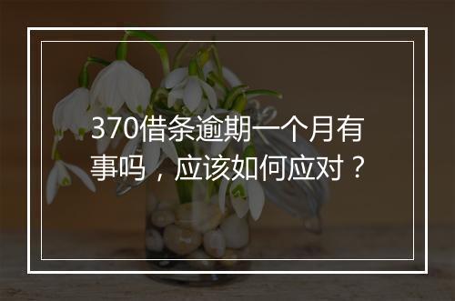 370借条逾期一个月有事吗，应该如何应对？