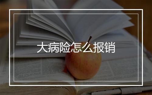 大病险怎么报销