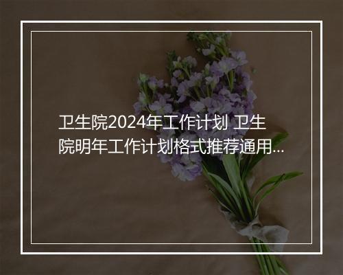 卫生院2024年工作计划 卫生院明年工作计划格式推荐通用版10篇