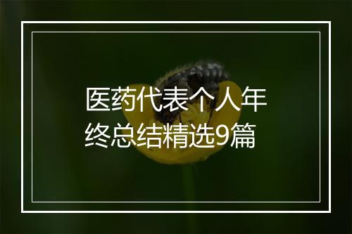 医药代表个人年终总结精选9篇