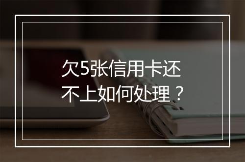欠5张信用卡还不上如何处理？