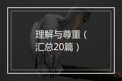 理解与尊重（汇总20篇）