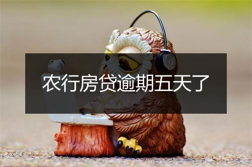 农行房贷逾期五天了