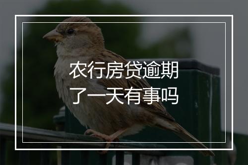 农行房贷逾期了一天有事吗