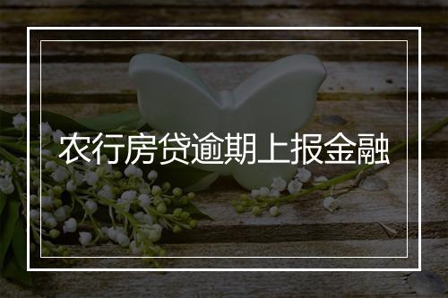 农行房贷逾期上报金融
