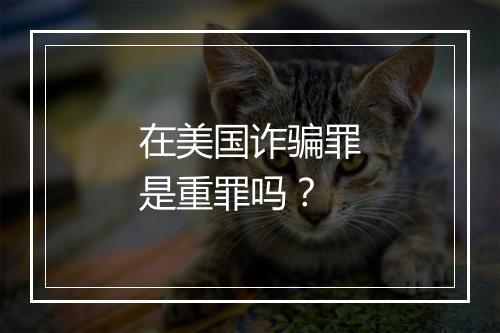 在美国诈骗罪是重罪吗？