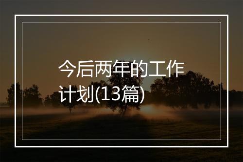 今后两年的工作计划(13篇)