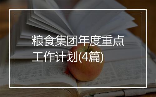 粮食集团年度重点工作计划(4篇)