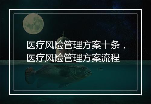 医疗风险管理方案十条，医疗风险管理方案流程
