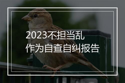2023不担当乱作为自查自纠报告