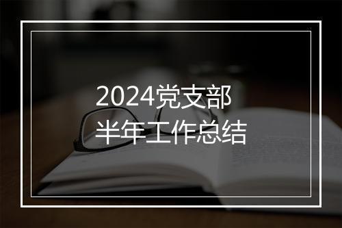 2024党支部半年工作总结