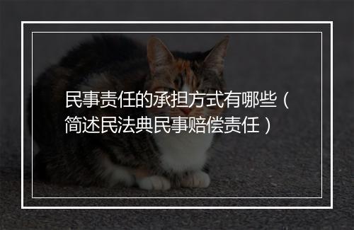 民事责任的承担方式有哪些（简述民法典民事赔偿责任）