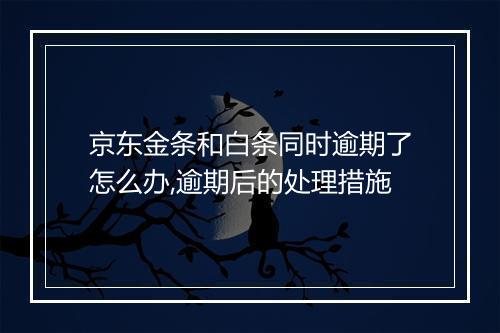 京东金条和白条同时逾期了怎么办,逾期后的处理措施