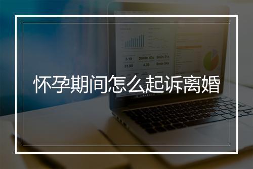 怀孕期间怎么起诉离婚