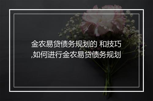 金农易贷债务规划的 和技巧,如何进行金农易贷债务规划