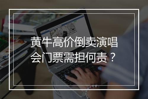 黄牛高价倒卖演唱会门票需担何责？