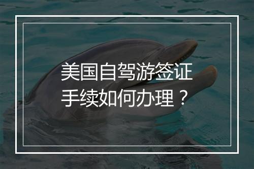 美国自驾游签证手续如何办理？
