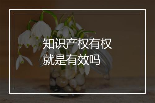 知识产权有权就是有效吗