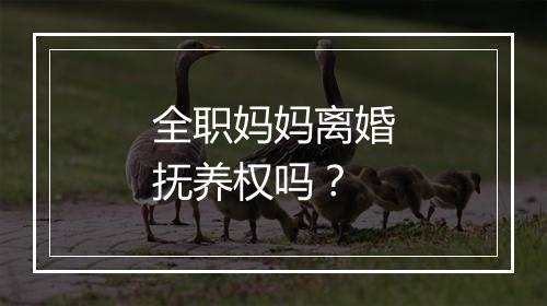 全职妈妈离婚抚养权吗？